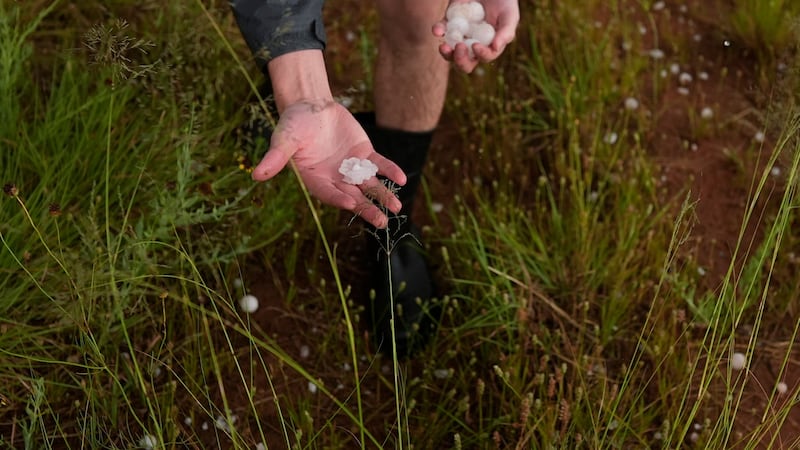 ARCHIVO - Tony Illenden, miembro del equipo Husky de Cazadores de Granizo de la Universidad...